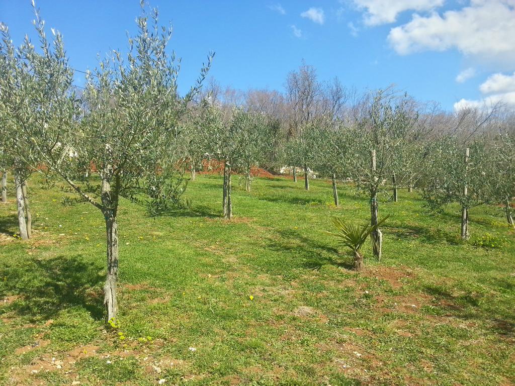 Karojba Villa Lara חדר תמונה